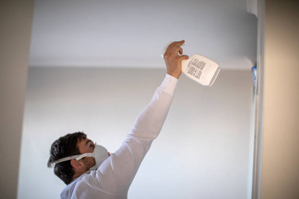 Best Residential Mold Removal  in Stratmoor, CO