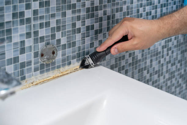 Best Residential Mold Removal  in Stratmoor, CO